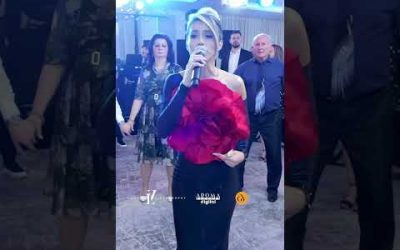 Georgiana Vita ♥️ #AromaRecordsDigital #MuzicaDePetrecere #Muzicapopulara #Live #Shorts #Timisoara
